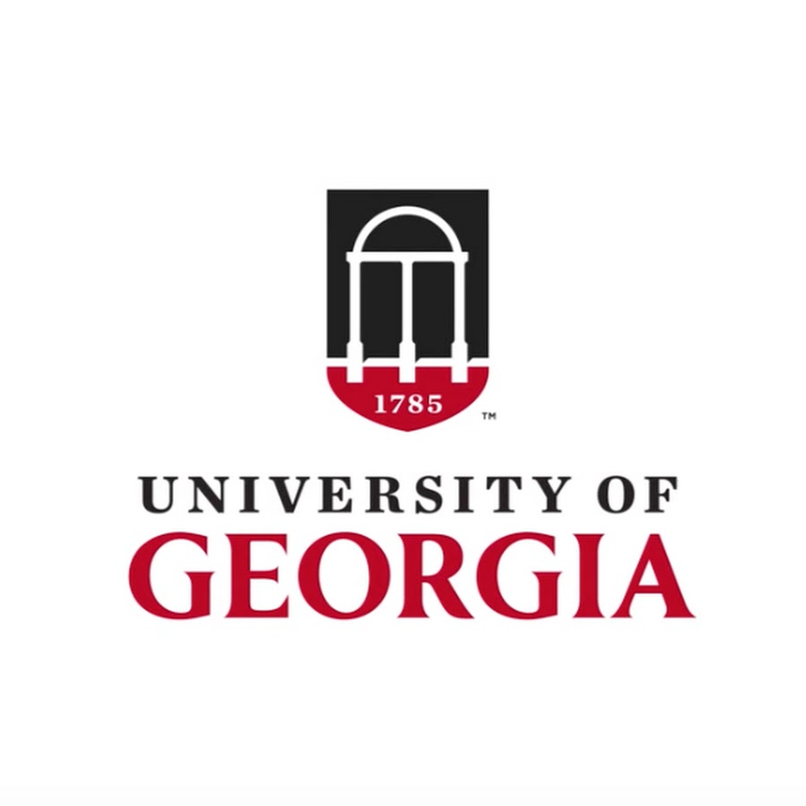 Georgia business organisation